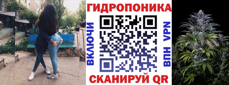 Продажа наркотиков Ачхой-Мартан Гашиш  NBOMe  A-PVP  Конопля  МЕФ  Cocaine 