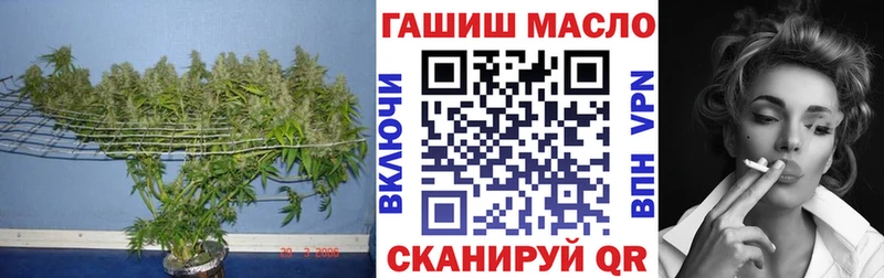 Дистиллят ТГК Wax  наркота  darknet телеграм  Ачхой-Мартан 